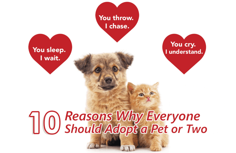 Ten Reasons Why Everyone Should Adopt A Pet