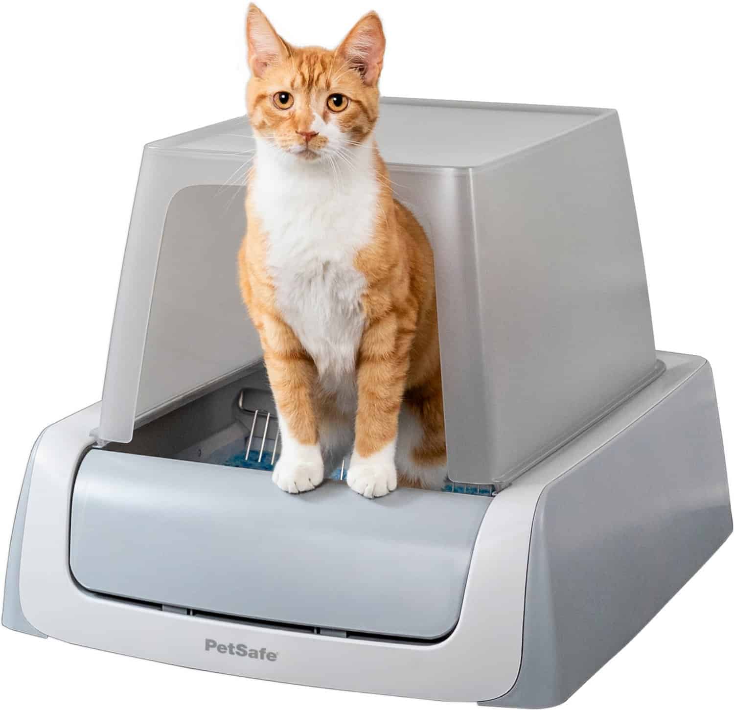 7 Best Automatic Litter Boxes for Hassle-Free Cleaning 6 7 Best Automatic Litter Boxes for Hassle-Free Cleaning 4