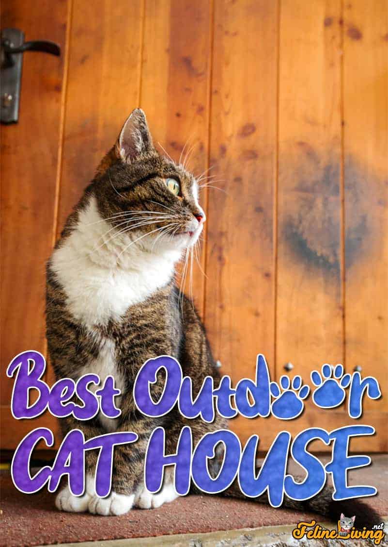 outdoor pet heating pad on 2021 S Best Outdoor Cat House Plus Reviews Of Other Top Picks